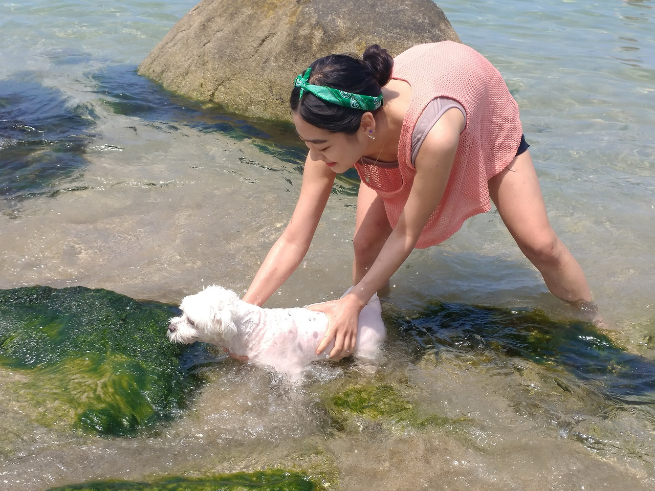 버니 강아지_A컷 (2).jpg