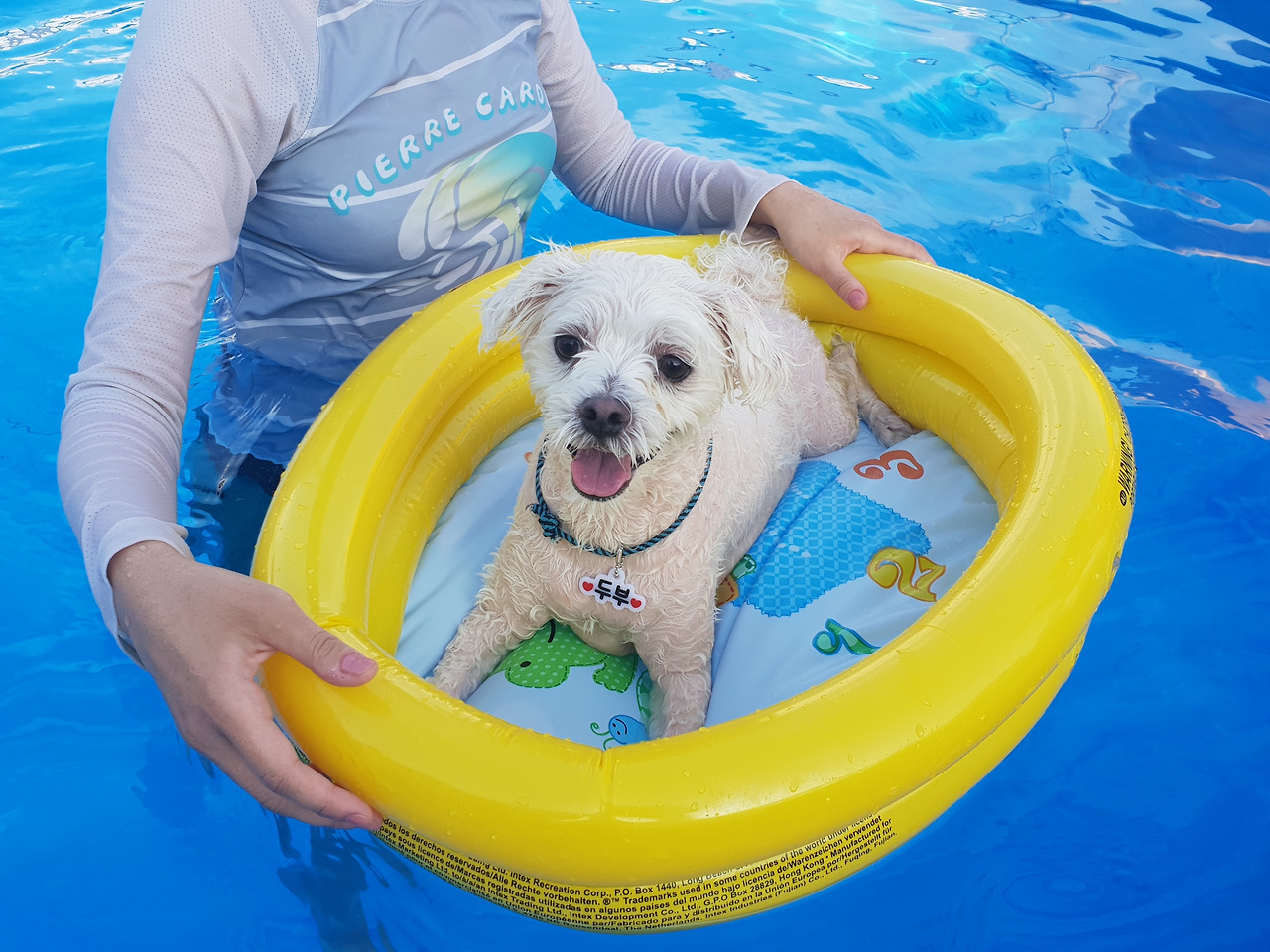 버니 강아지_A컷 (4).jpg