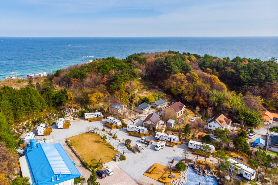 강릉 와우파크 카라반 (1).jpg