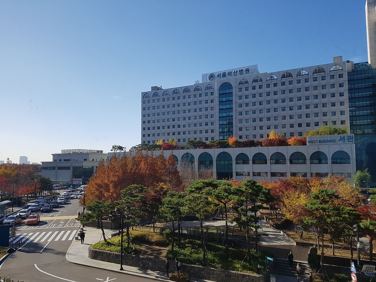 서울아산병원 사진 (2).jpg