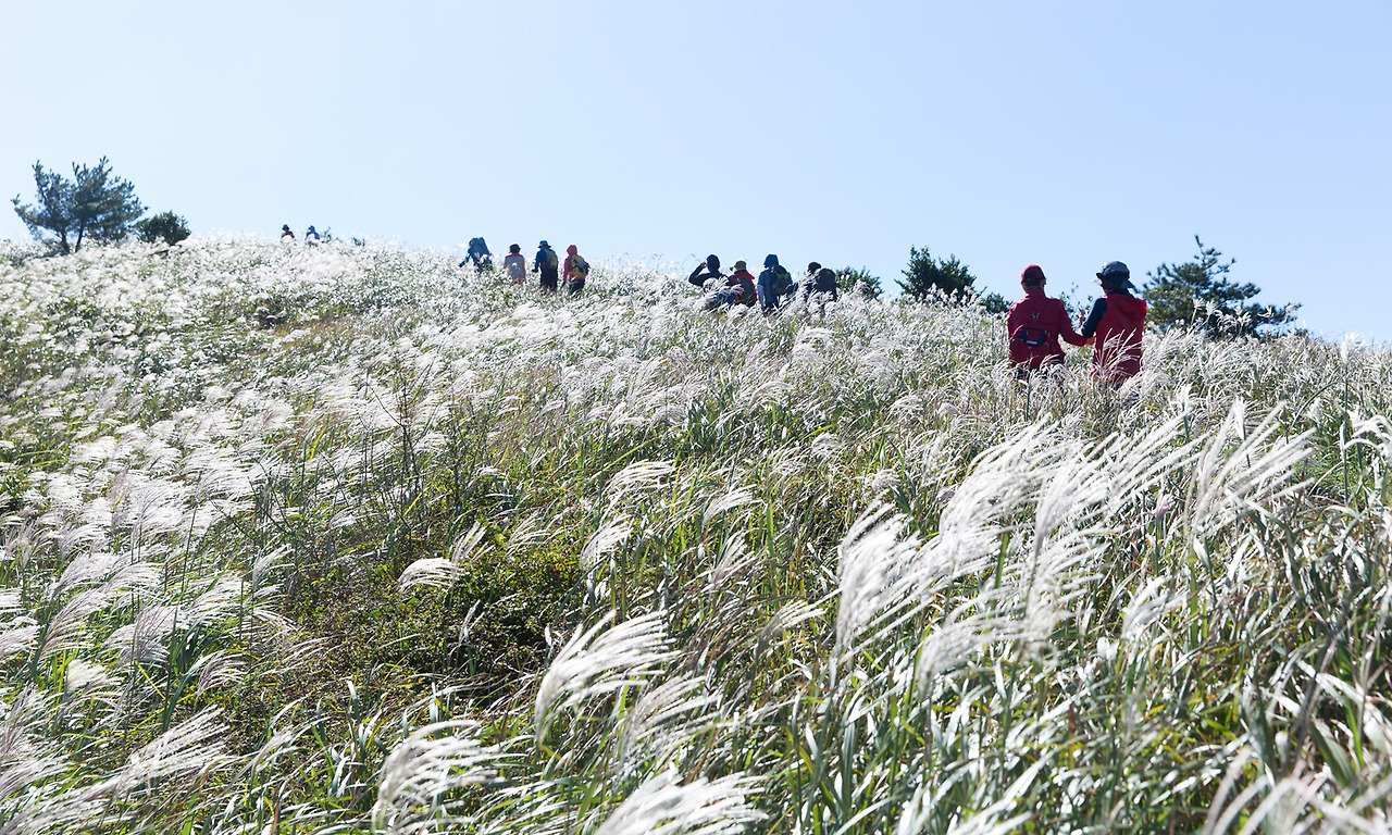 06_따라비오름 등산6.jpg.jpg