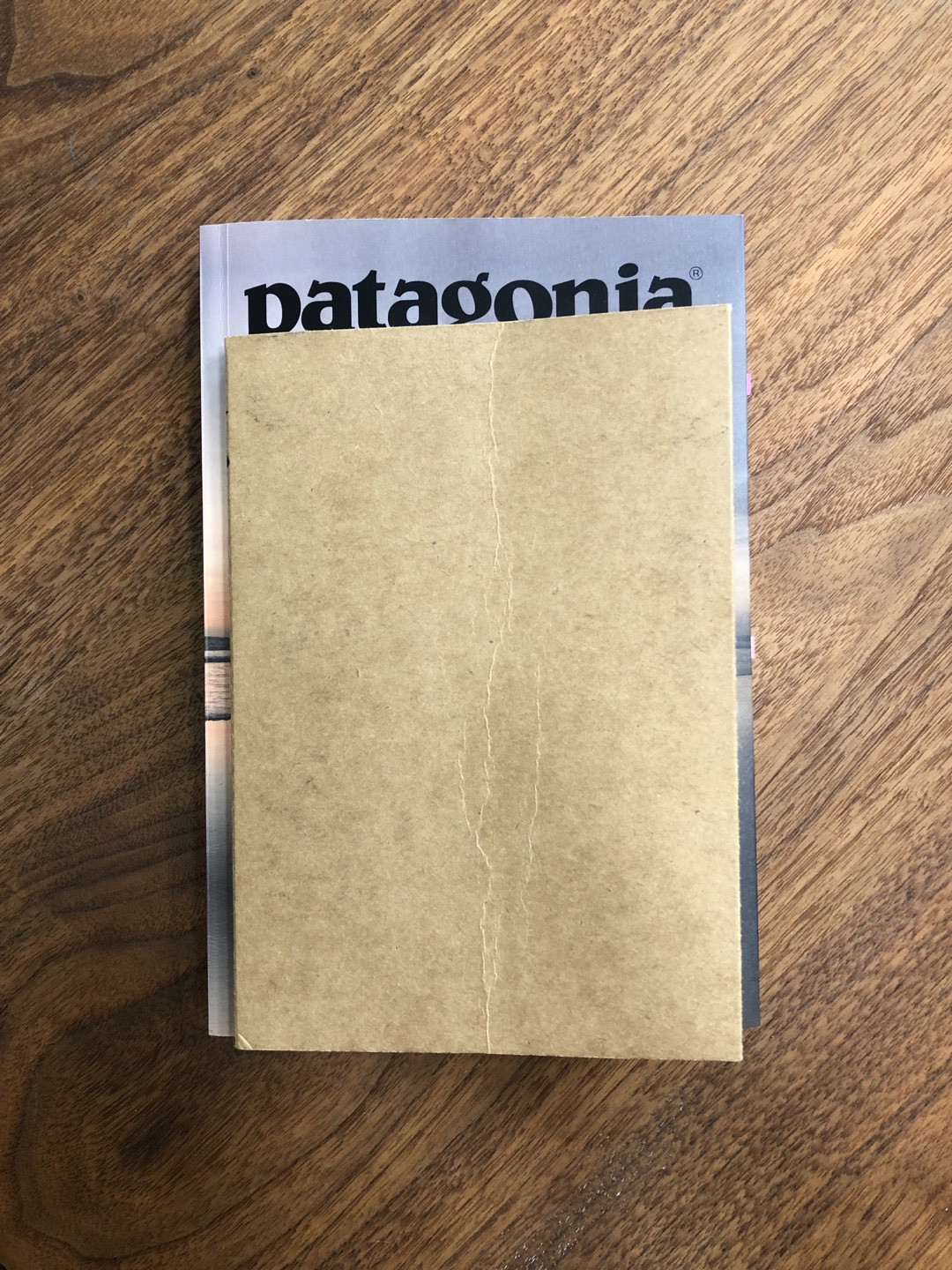 파타고니아 리더.jpg