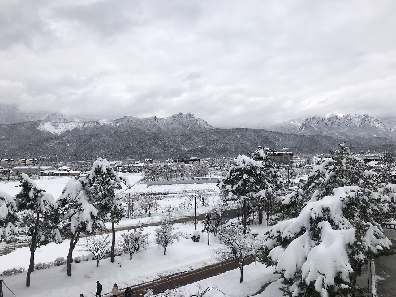 속초2.jpg