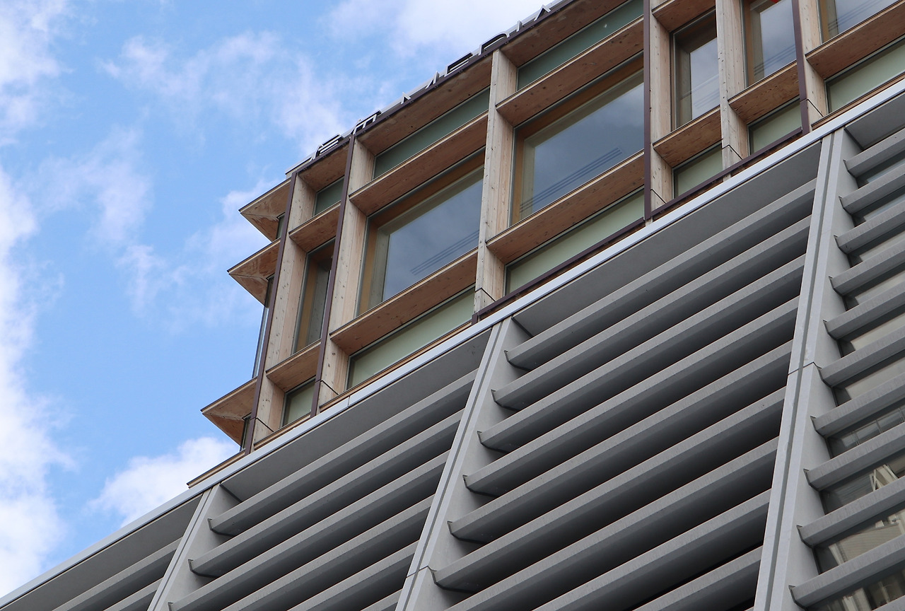 toyoito_Shinmai Media Garden.jpg