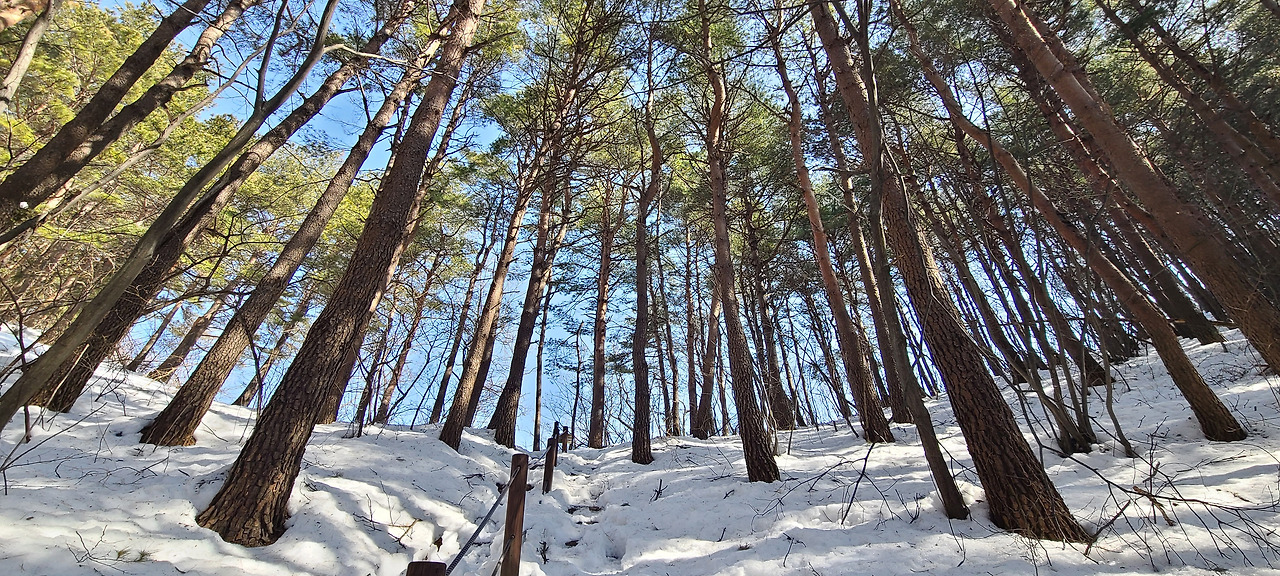 20240309_105200 - 복사본.jpg