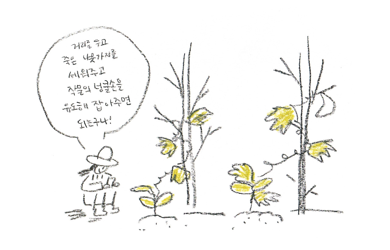 도시텃밭03_2.jpg