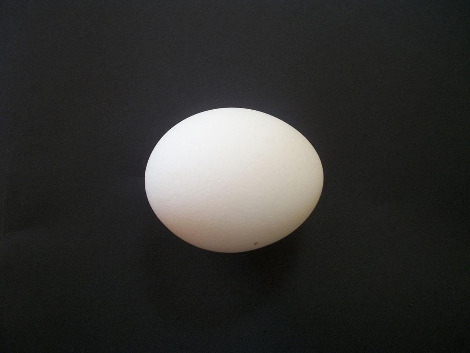 egg-14534_1280.jpg