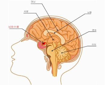 art_497577_1584494403 (1).jpg