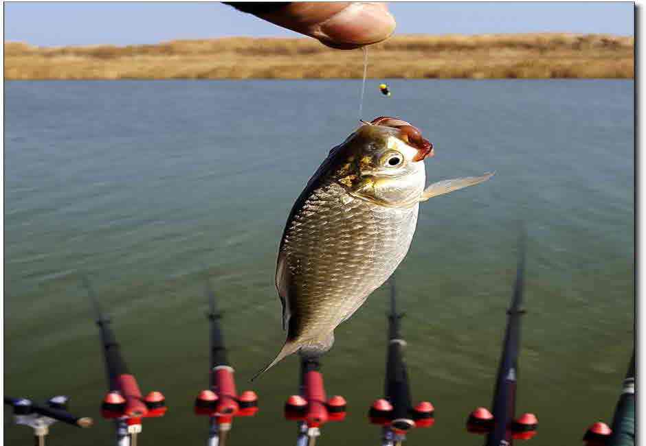 크기변환_aa111111 (10).jpg