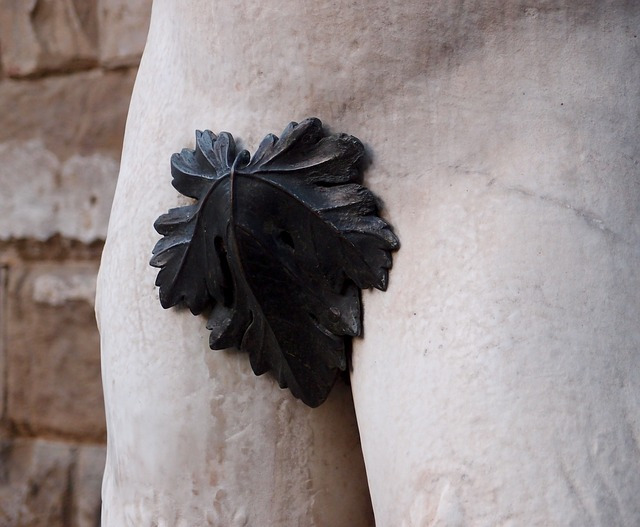 fig-leaf-1657854_640.jpg