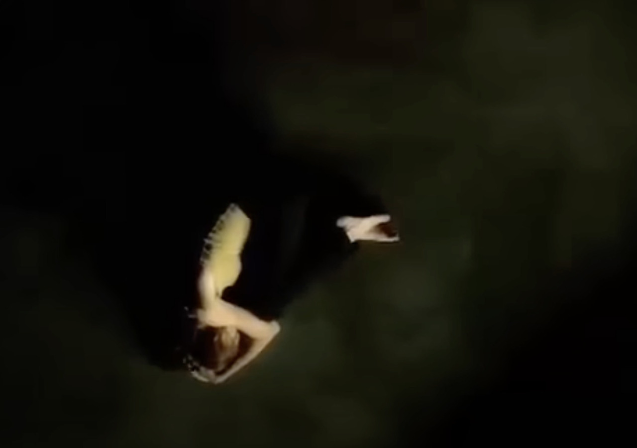 Screenshot 2024-01-14 at 12.43.11 PM.jpg