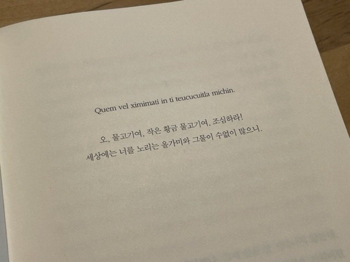 다운로드 (1).jpg