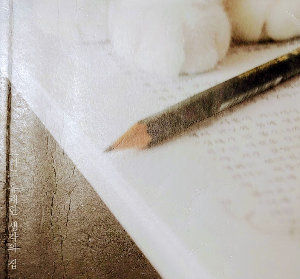 랄랄라 하우스.jpg