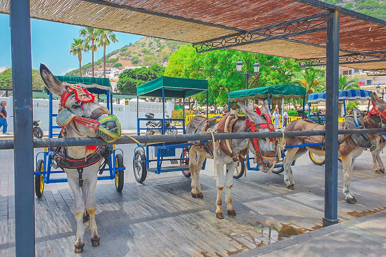 KakaoTalk_Photo_2021-12-31-14-13-08 003.jpg