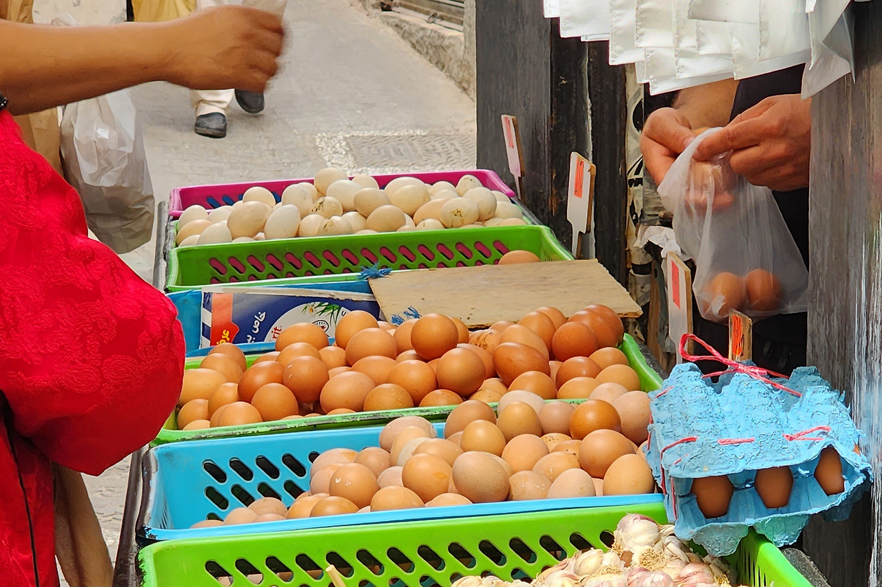 KakaoTalk_Photo_2023-09-19-15-07-31 012.jpg