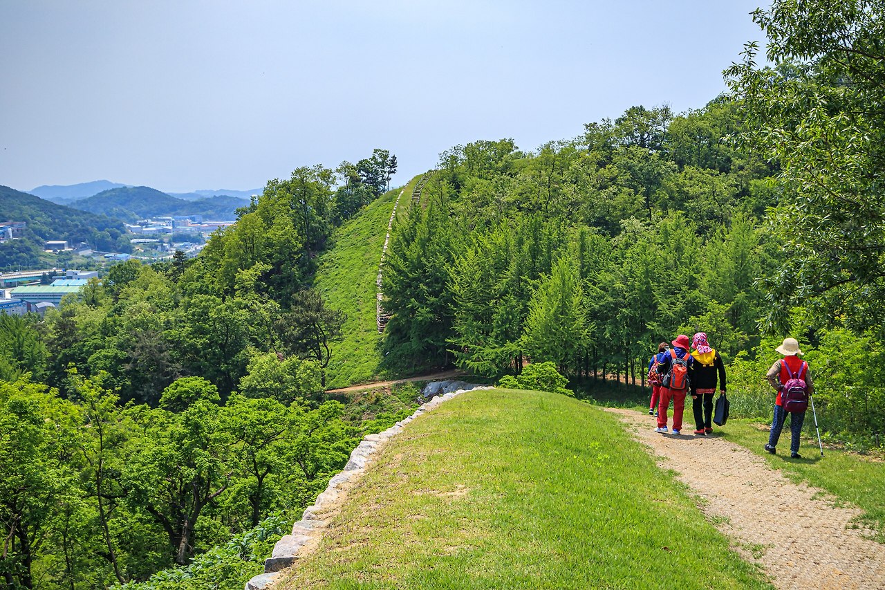 코스1 당항성길 0.jpg