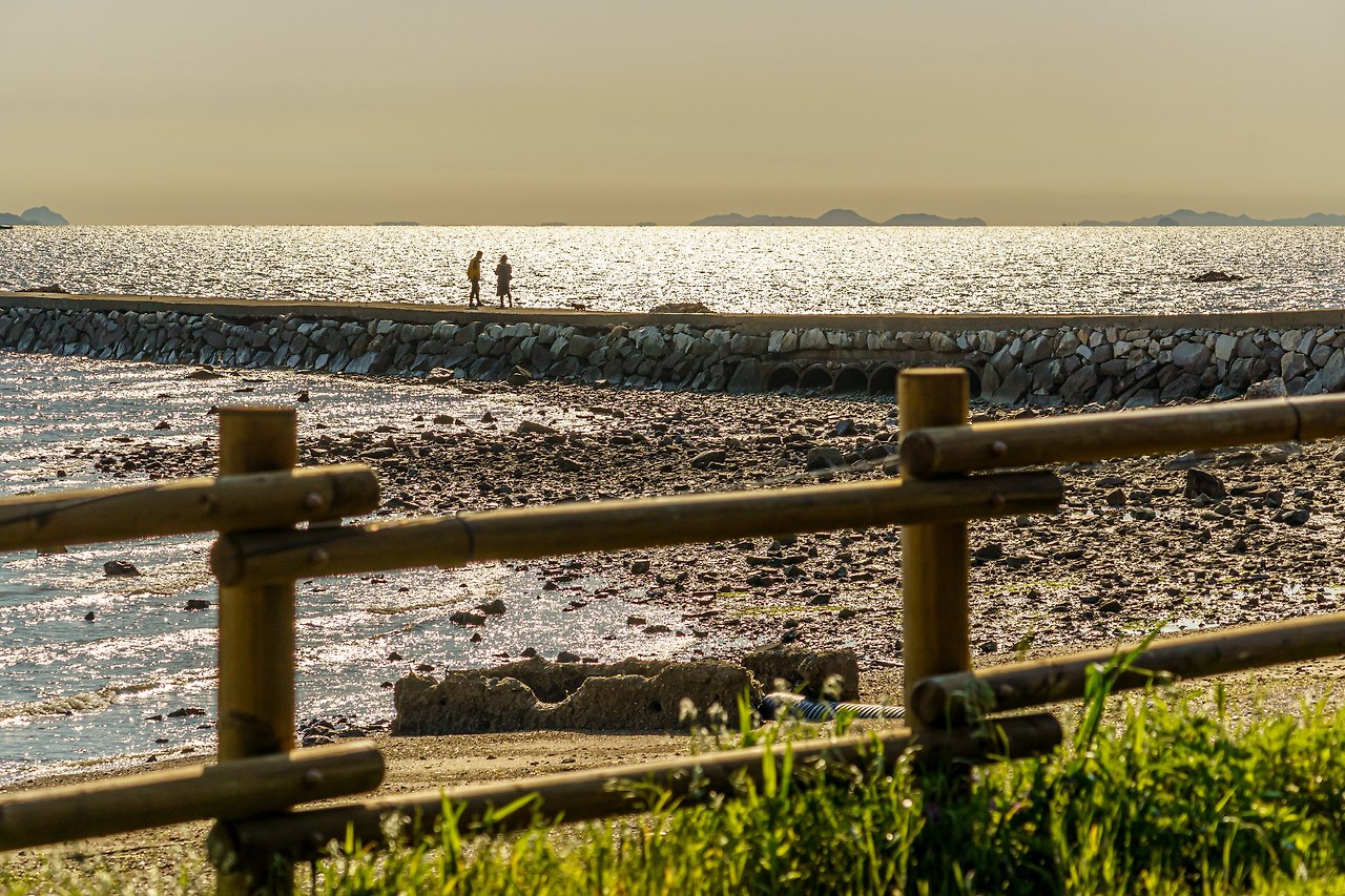 코스2 황금해안길 3-3.jpg