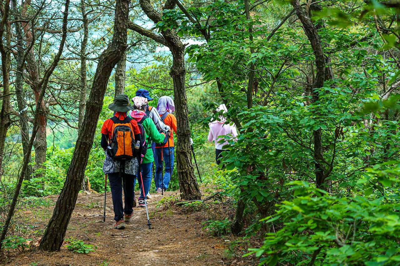 코스1 당항성길 3-1.jpg