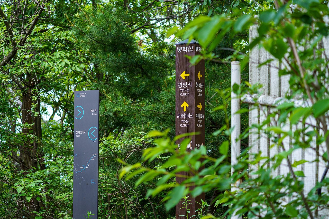 코스1 당항성길 2-3.jpg