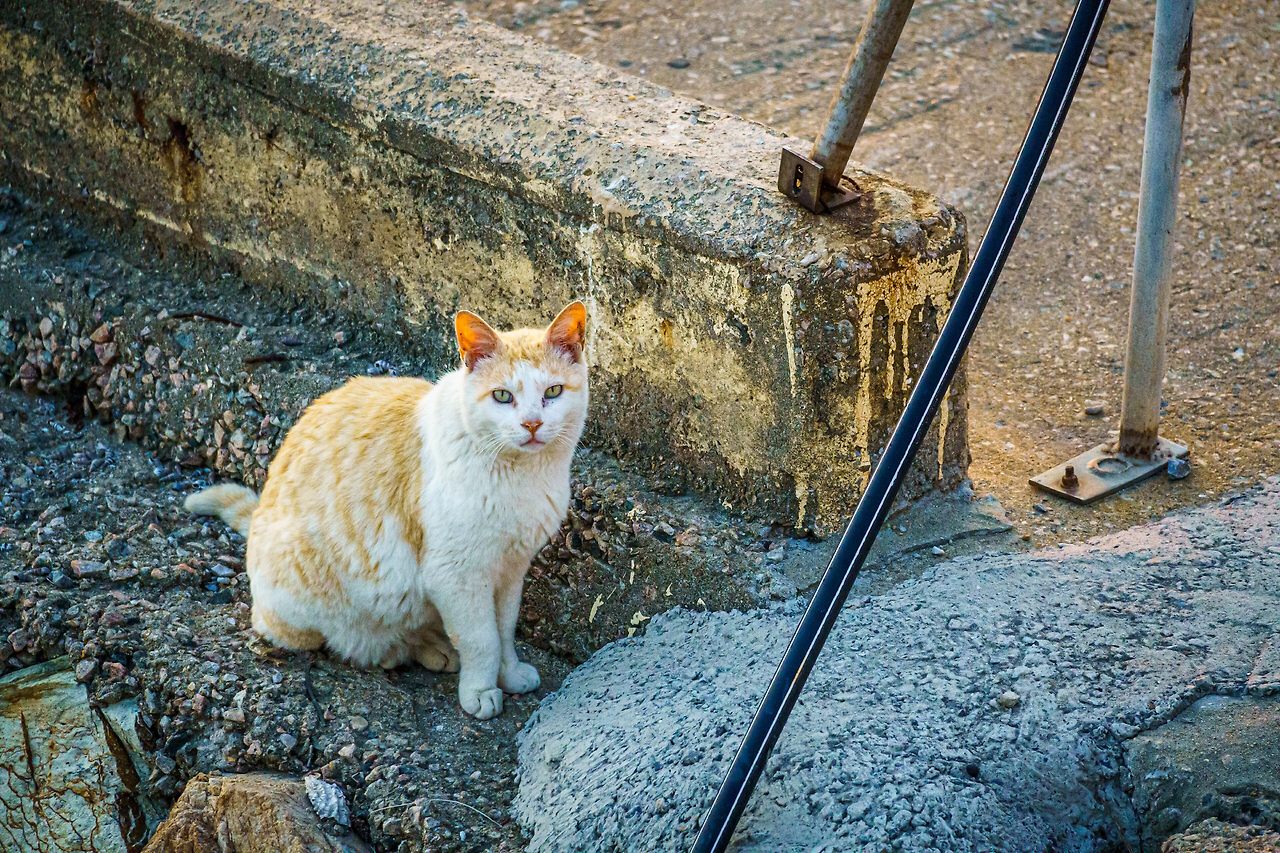 코스2 황금해안길 5-1.jpg