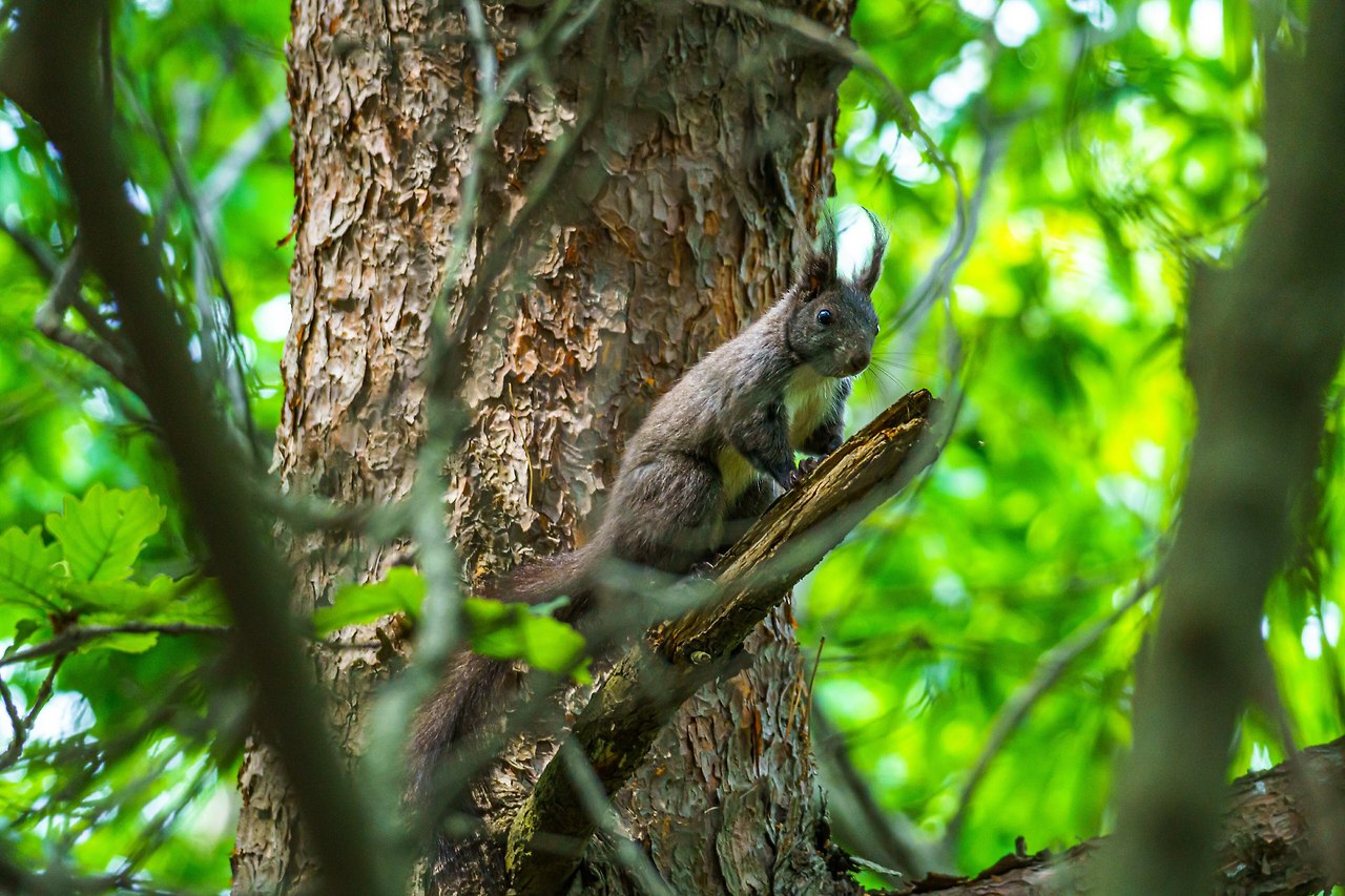 코스1 당항성길 3-3.jpg