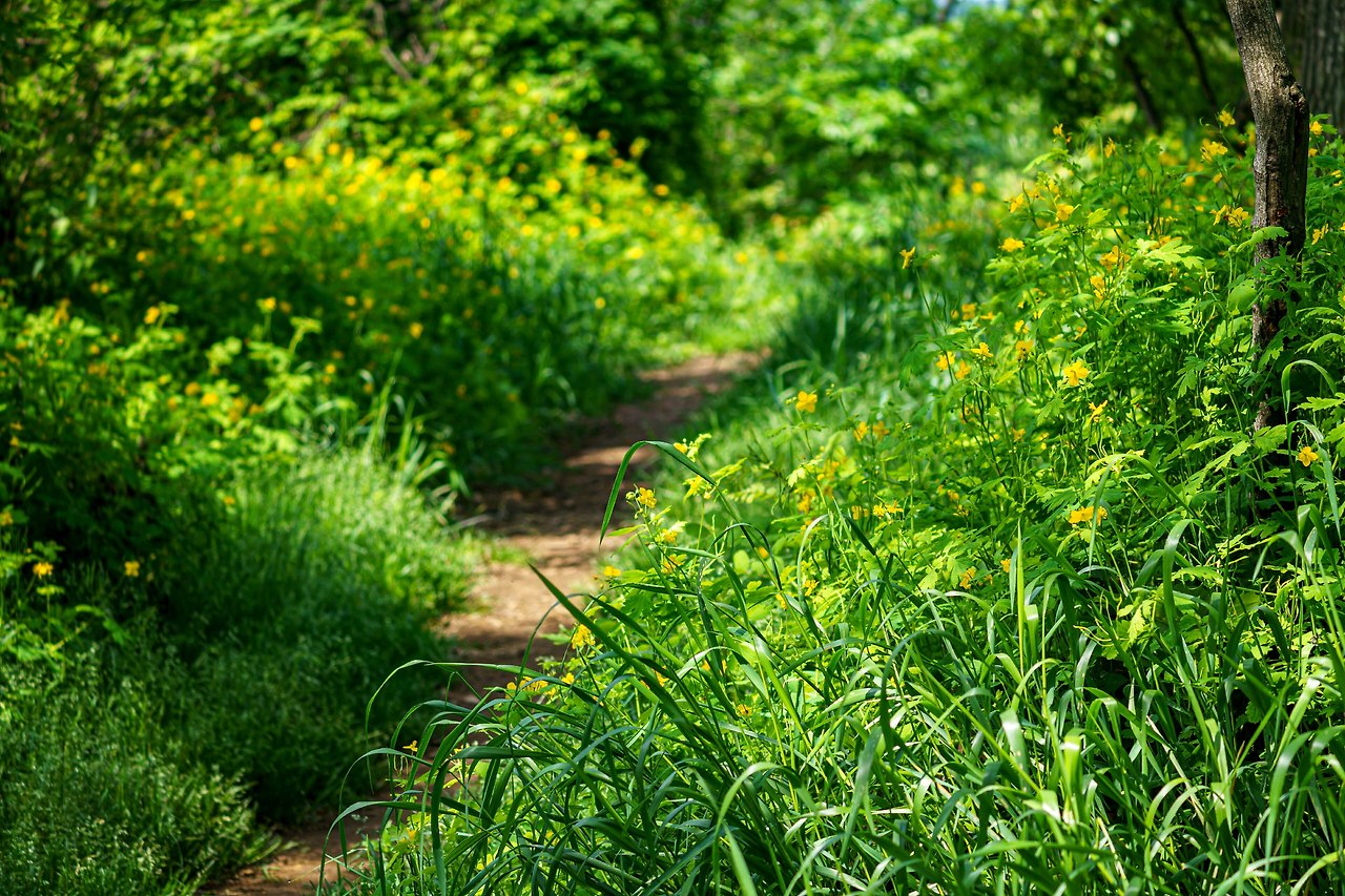 코스1 당항성길 3-2.jpg