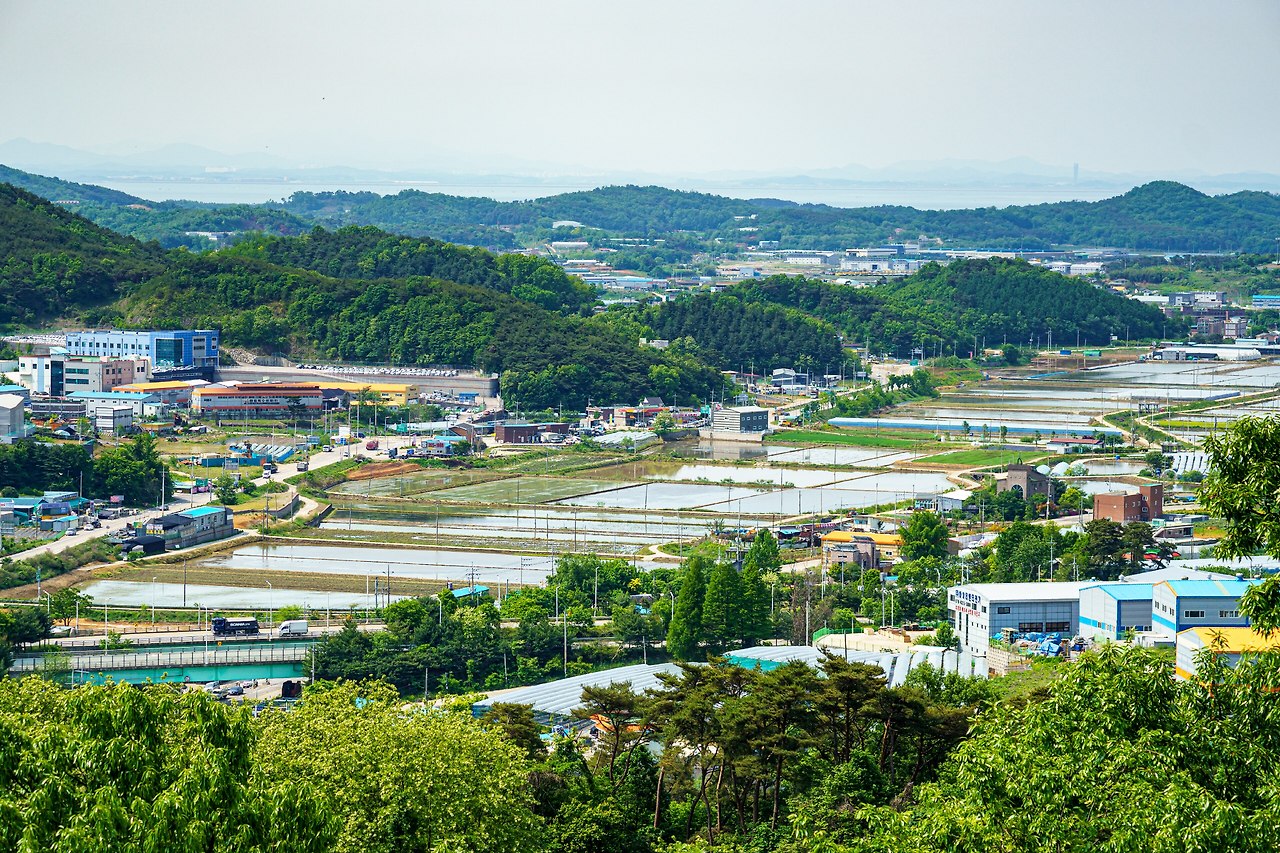 코스1 당항성길 1-3.jpg