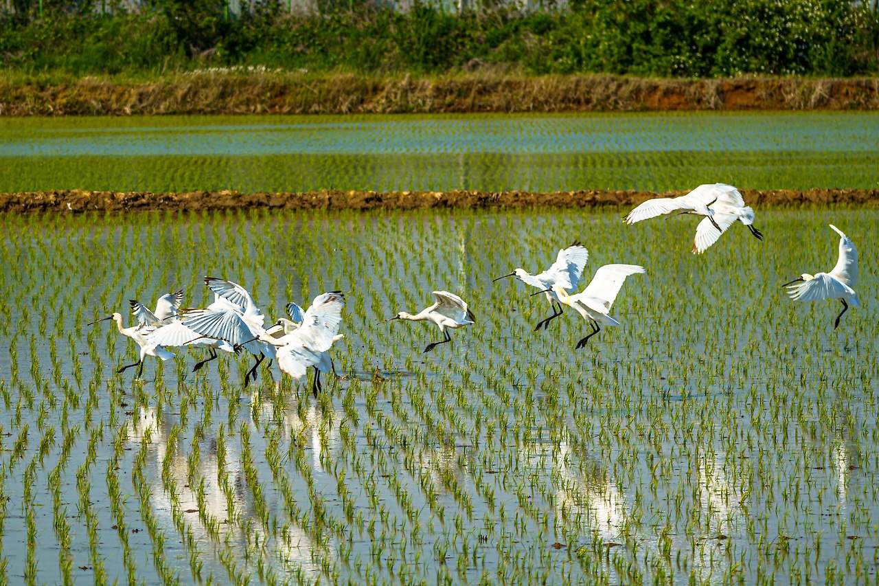 코스2 황금해안길 2-3.jpg