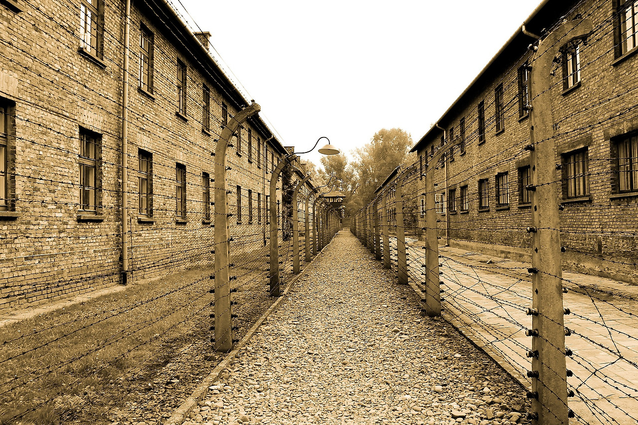 auschwitz-gf96388361_1920.jpg