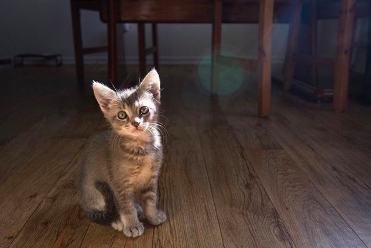 스크린샷 2019-12-15 오전 1.15.24.jpg