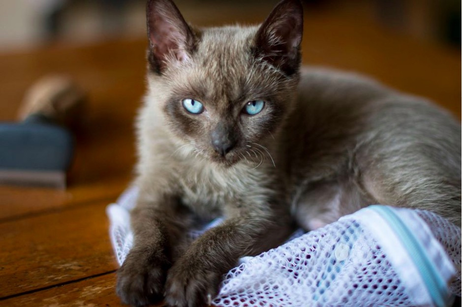 스크린샷 2020-02-09 오후 6.20.53.jpg