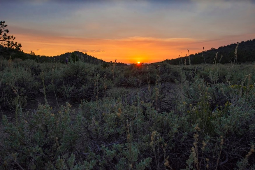 스크린샷 2019-12-20 오전 12.14.59.jpg