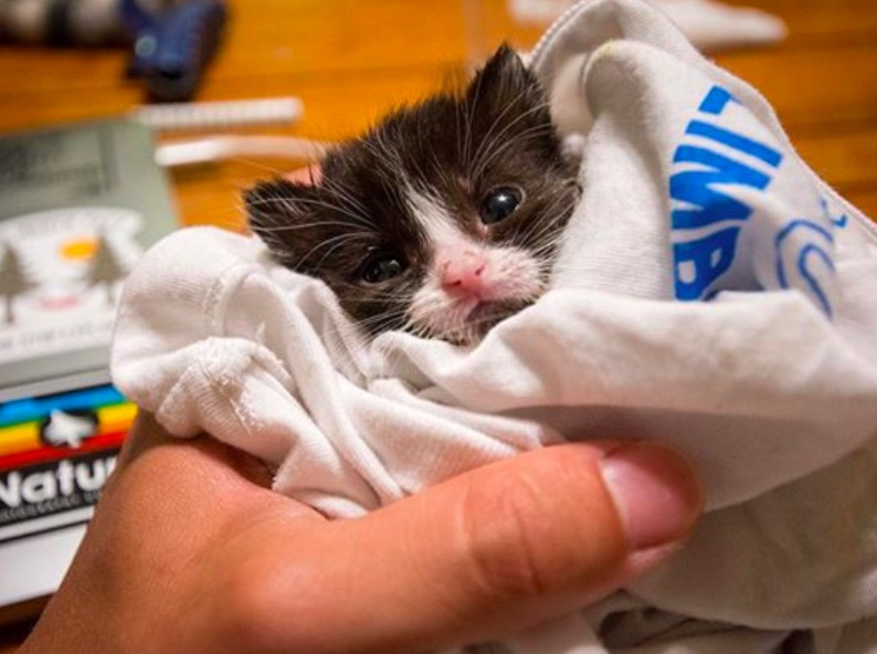 스크린샷 2019-12-19 오후 12.31.56.jpg