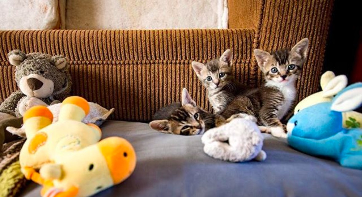 스크린샷 2019-12-15 오전 1.15.53.jpg