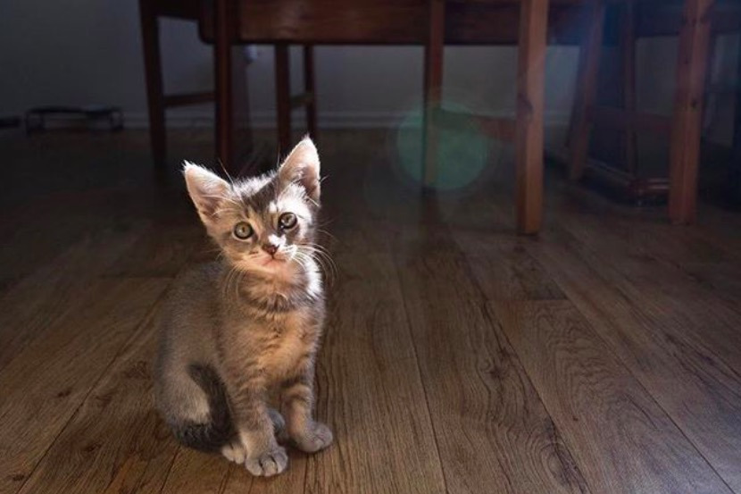 스크린샷 2019-12-19 오후 12.33.03.jpg