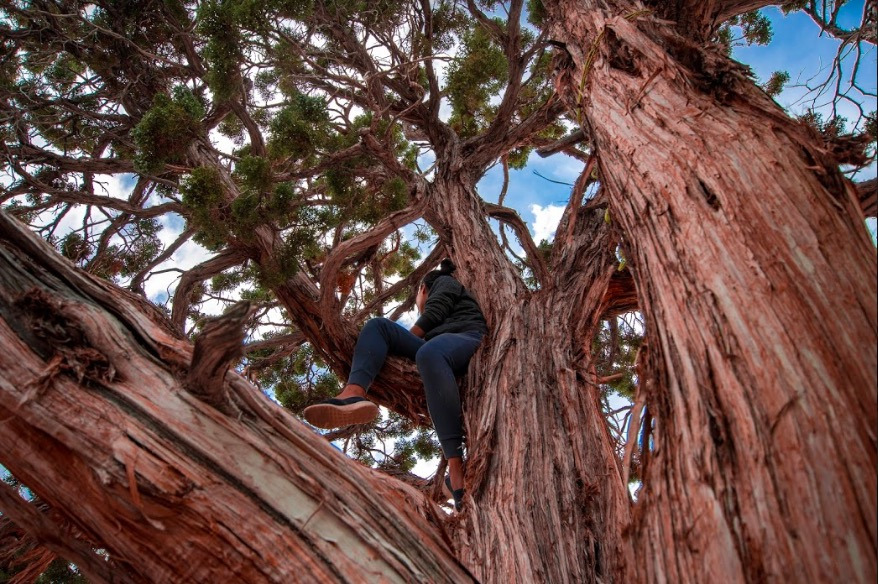 스크린샷 2019-12-20 오전 12.15.23.jpg