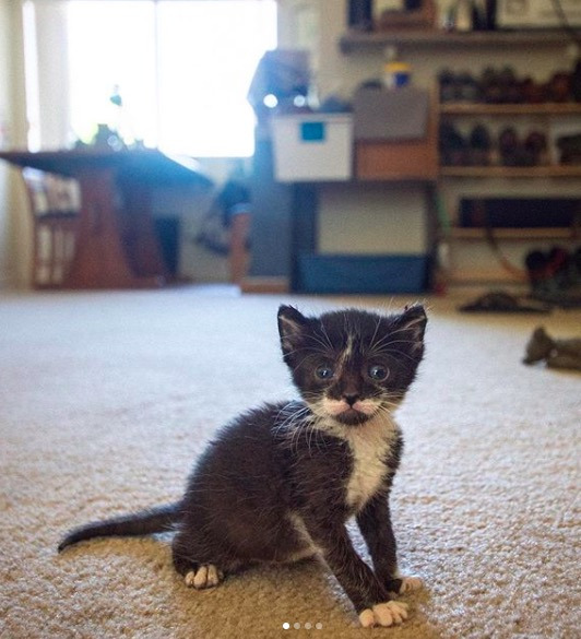 스크린샷 2019-12-19 오후 12.31.24.jpg