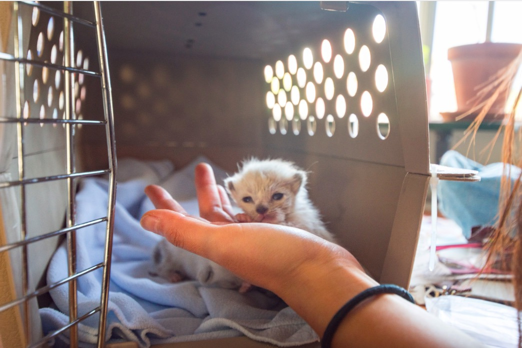 스크린샷 2020-01-16 오후 10.54.47.jpg