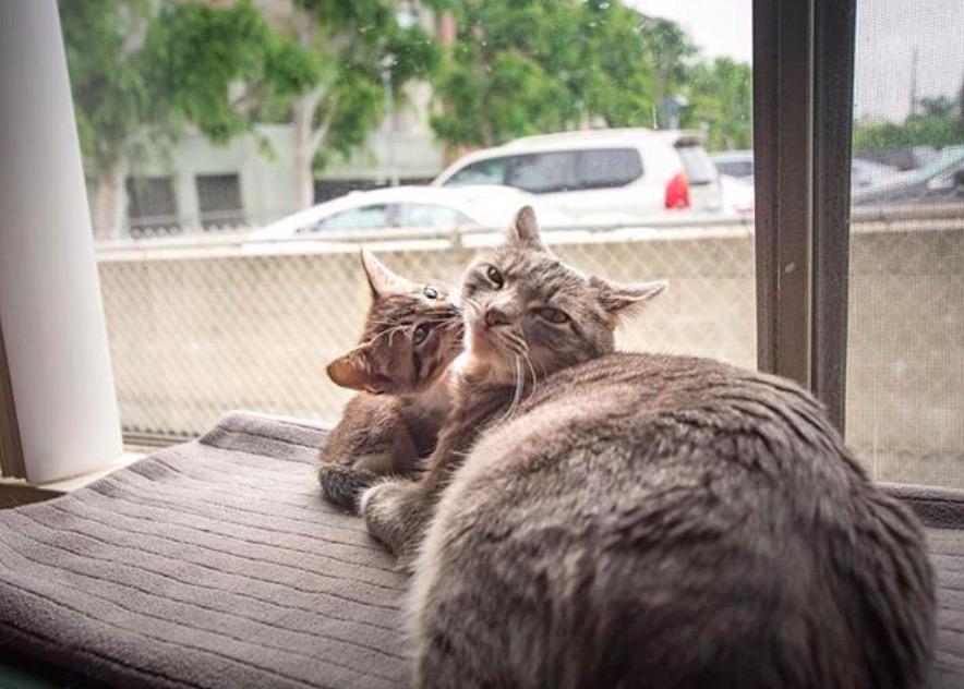 스크린샷 2019-12-19 오후 12.32.51.jpg