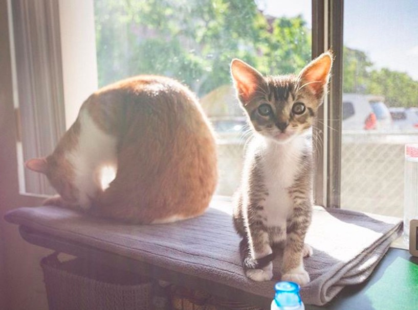 스크린샷 2019-12-19 오후 12.32.35.jpg