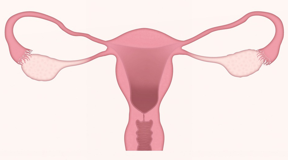 자궁경부암의 8가지 증상