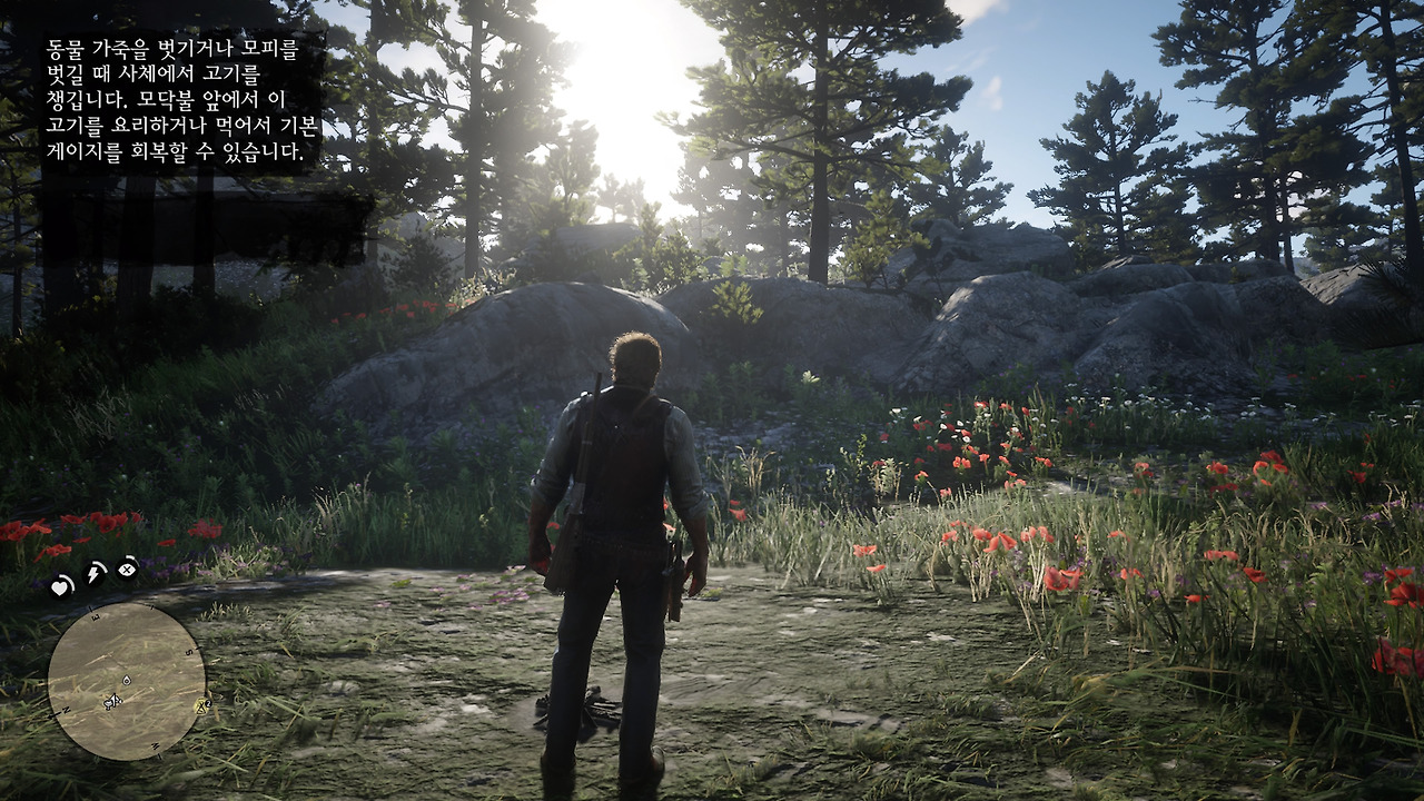 Red Dead Redemption 2_20181026191237.jpg