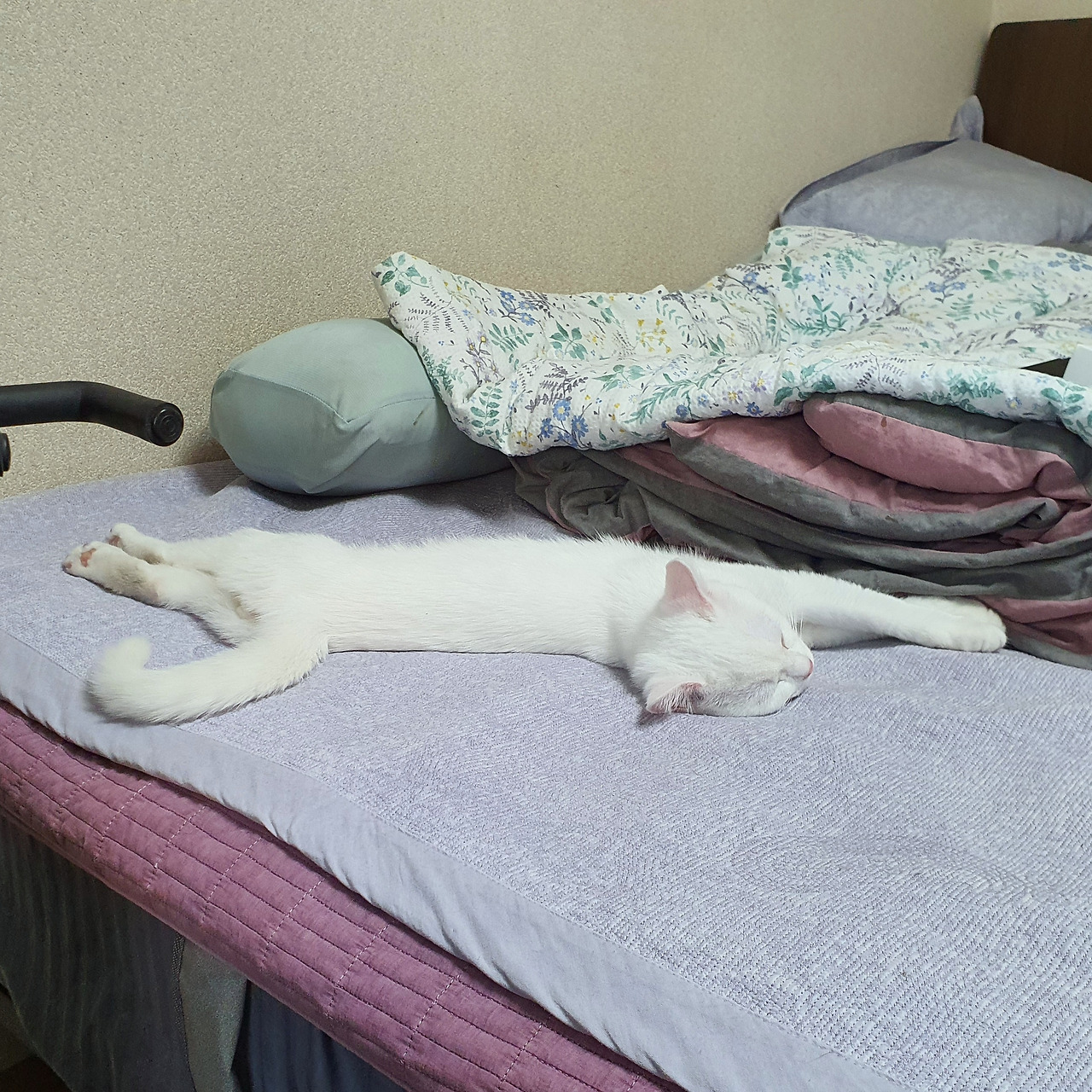 KakaoTalk_20200418_211032561_03 (1).jpg