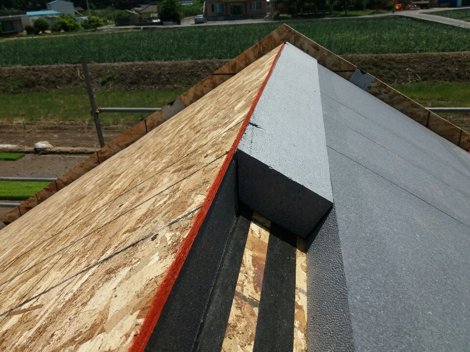 시골집 지붕.jpg