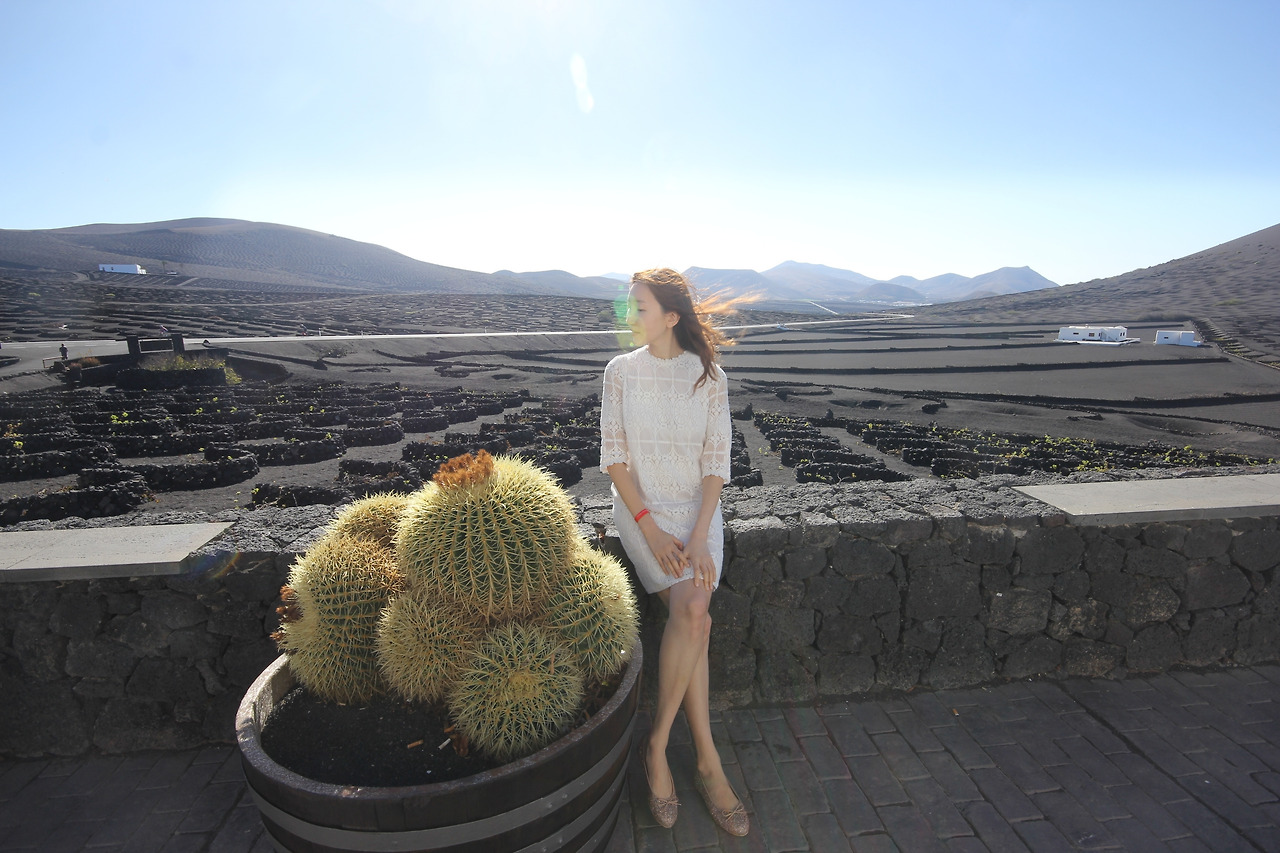 07_란사로테_포토밭 (43).jpg