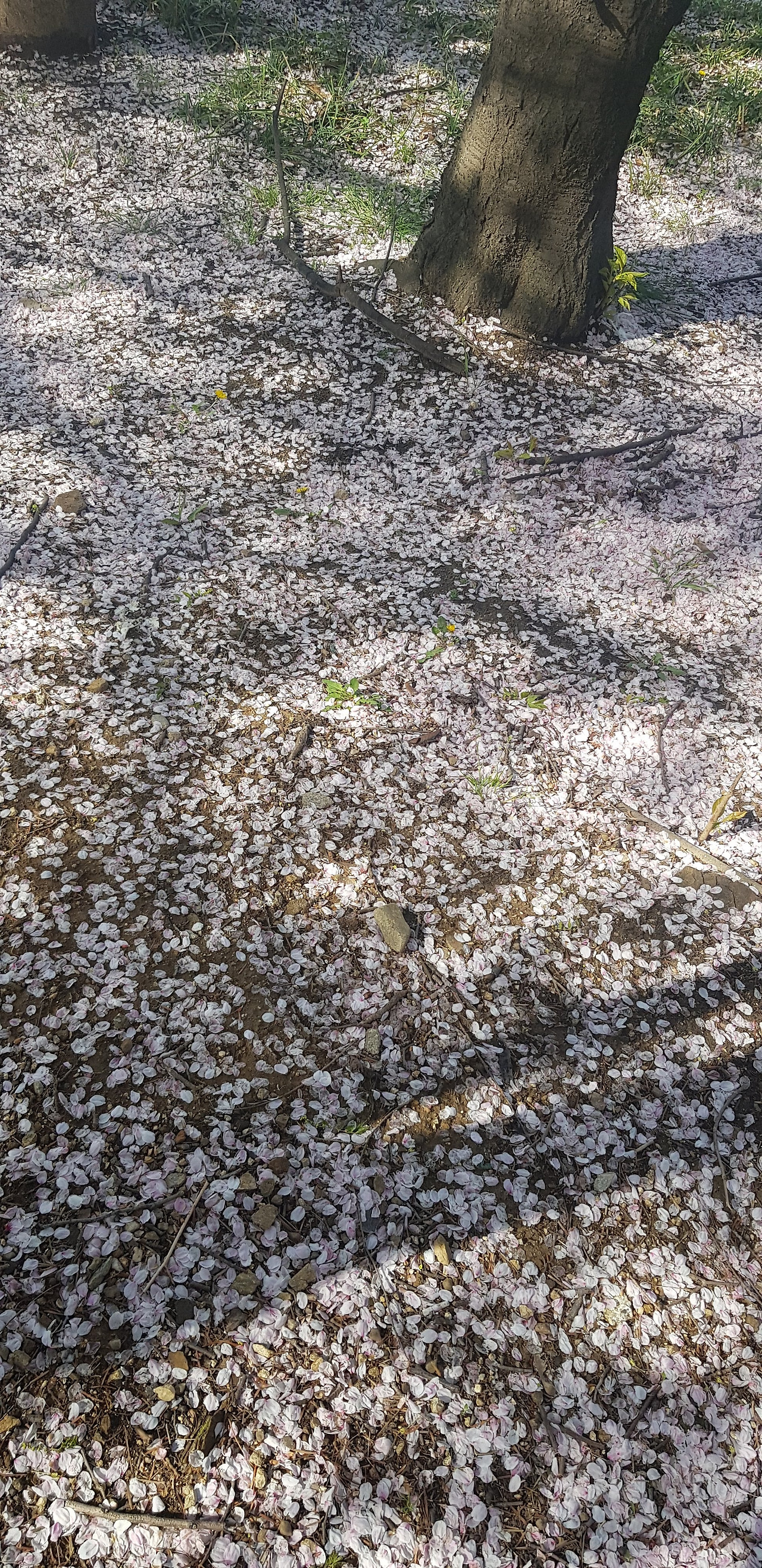 마음힘들때버팀 (1).jpg