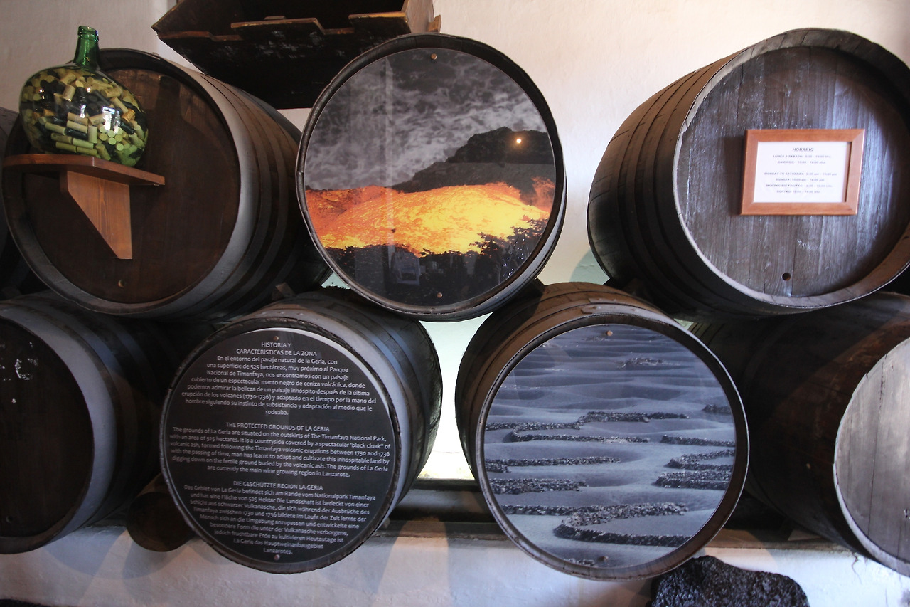 07_란사로테_포토밭 (14).jpg