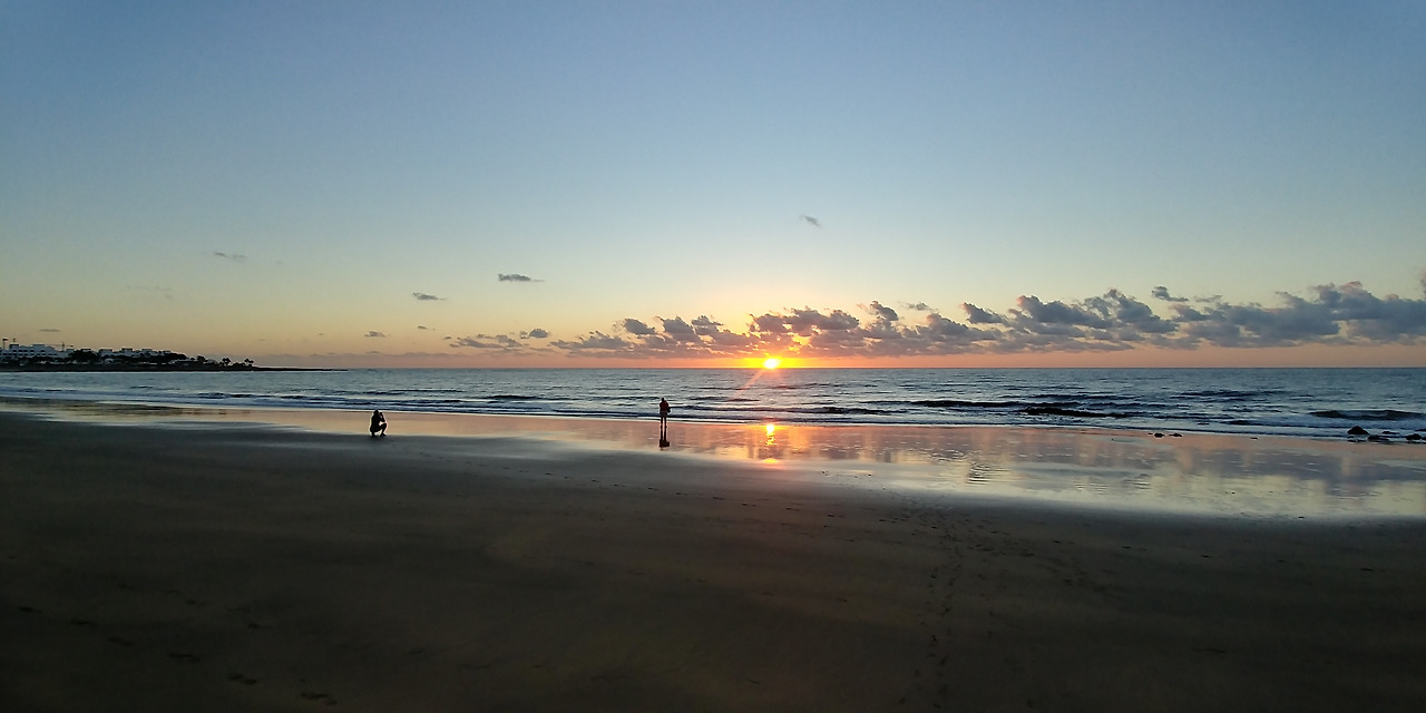 란사로테 (2).jpg