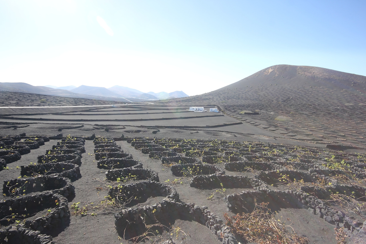 07_란사로테_포토밭 (42) (1).jpg