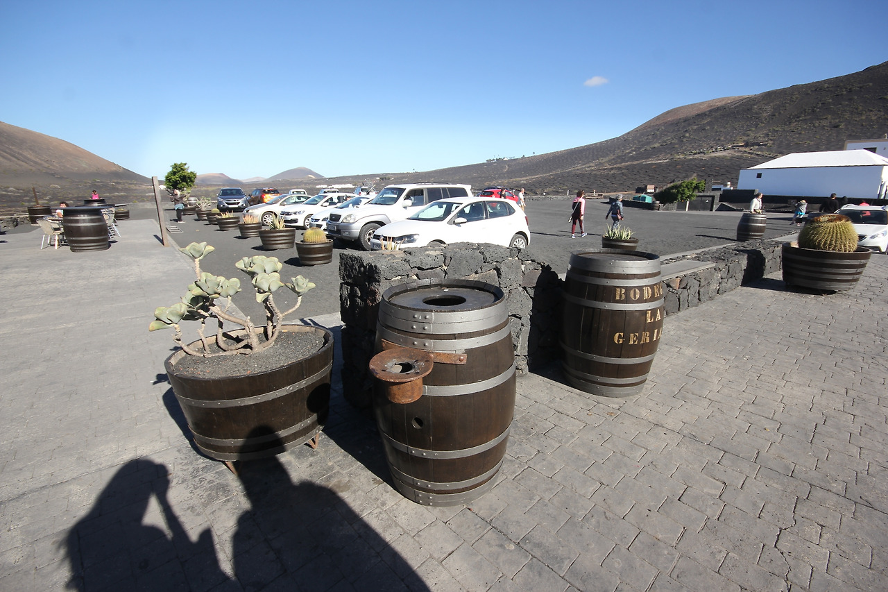 07_란사로테_포토밭 (66).jpg